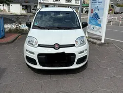 Weiß Gebraucht 2020 Fiat Panda Kleinwagen | 10.000 € (Fairer Preis)