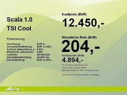 Grau Gebraucht 2020 Skoda Scala Cool Plus Kleinwagen | 12.450 € (Guter Preis)