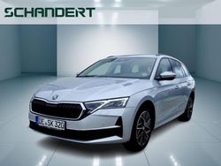 Gebraucht 2024 Skoda Octavia Selection Kombi | 36.440 € (Etwas zu teuer)