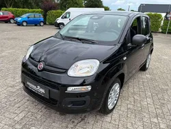 Schwarz Neu 2025 Fiat Panda Kleinwagen | 15.990 € (Fairer Preis)