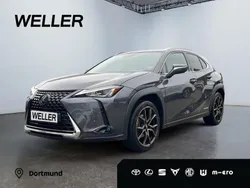 Andere Gebraucht 2022 Lexus UX SUV | 27.940 €