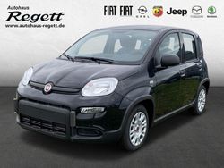 Schwarz Gebraucht 2024 Fiat Panda Kleinwagen | 15.990 € (Fairer Preis)