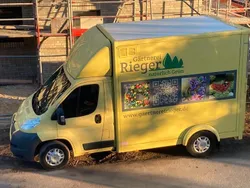 Gelb Gebraucht 2014 Citroën Jumper Van / Kleinbus | 9.800 € (Superpreis)