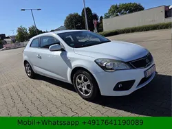 Weiß Gebraucht 2011 Kia ProCeed Kleinwagen | 2.500 € (Guter Preis)
