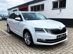 Weiß Gebraucht 2019 Skoda Octavia Kombi | 12.490 € (Fairer Preis)