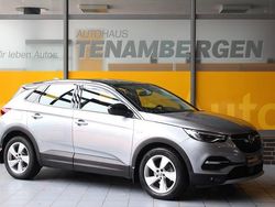 Grau Gebraucht 2018 Opel Grandland X SUV | 22.900 € (Etwas zu teuer)