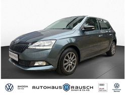 Grau Gebraucht 2020 Skoda Fabia Ambition Limousine | 11.750 € (Fairer Preis)