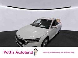 Candyweiß Gebraucht 2023 Skoda Octavia Style Kombi | 21.777 € (Guter Preis)