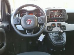 Grün Gebraucht 2022 Fiat Panda Kleinwagen | 15.549 € (Teuer)