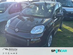 Colore esterno (cinema schwarz Neu 2024 Fiat Panda Cross Cross Kleinwagen | 14.790 €