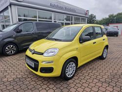Positanogelb Neu 2025 Fiat Panda Icon Kleinwagen | 15.990 € (Etwas zu teuer)