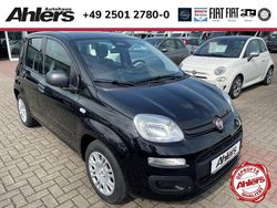 Schwarz Neu 2025 Fiat Panda Limousine | 14.990 € (Fairer Preis)