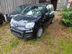 Schwarz Neu 2025 Fiat Panda Limousine | 12.999 € (Guter Preis)