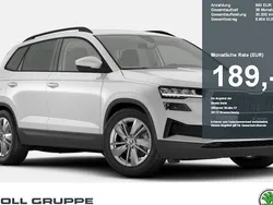 Weiß Neu 2025 Skoda Karoq Selection SUV | 38.690 € (Etwas zu teuer)