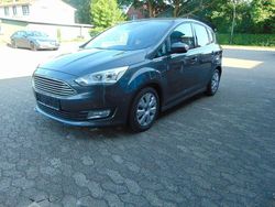 Magnetic Gebraucht 2018 Ford C-MAX Titanium Van / Kleinbus | 14.990 € (Teuer)