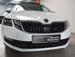 Weiß Gebraucht 2019 Skoda Octavia Clever Limousine | 14.180 € (Guter Preis)