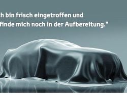 Blau Gebraucht 2019 Ford Ecosport Titanium SUV | 15.790 € (Guter Preis)