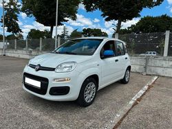 Weiß Gebraucht 2018 Fiat Panda Kleinwagen | 8.100 € (Fairer Preis)