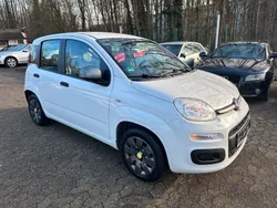 Weiß Gebraucht 2014 Fiat Panda Young Kleinwagen | 5.990 € (Fairer Preis)