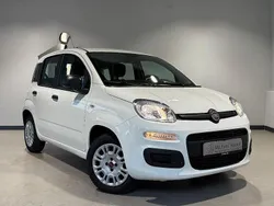 Weiß Gebraucht 2020 Fiat Panda Easy Kleinwagen | 10.900 € (Fairer Preis)