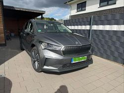 Grau Gebraucht 2024 Skoda Enyaq iV SUV | 43.300 € (Fairer Preis)