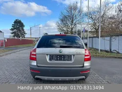 Beige Gebraucht 2008 Skoda Octavia Kombi | 7.999 €