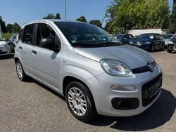 Argento alfa Gebraucht 2016 Fiat Panda Easy Kleinwagen | 6.200 € (Fairer Preis)