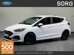 Othercolor Gebraucht 2022 Ford Fiesta ST Kleinwagen | 24.881 € (Etwas zu teuer)