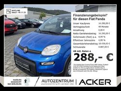 Bicolor blau, dach schwarz Gebraucht 2024 Fiat Panda Kleinwagen | 16.290 € (Teuer)