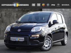 Schwarz Gebraucht 2025 Fiat Panda Pop Kleinwagen | 16.990 € (Teuer)
