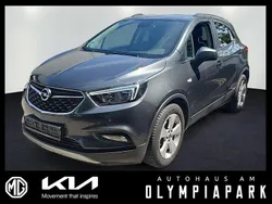 Grau Gebraucht 2017 Opel Mokka X SUV | 9.990 € (Guter Preis)