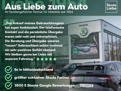 Andere Gebraucht 2010 Seat Ibiza Kleinwagen | 1.200 € (Guter Preis)