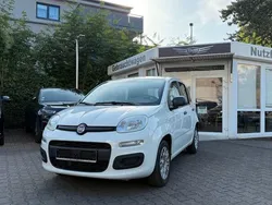 Weiß Gebraucht 2020 Fiat Panda Easy Kleinwagen | 8.790 € (Fairer Preis)