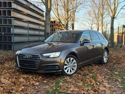 Braun Gebraucht 2016 Audi A4 Ambiente Kombi | 11.999 € (Guter Preis)
