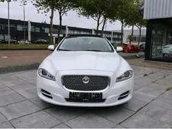 Weiß Gebraucht 2014 Jaguar XJL Portfolio Limousine | 17.950 €