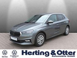 Grau Gebraucht 2024 Skoda Fabia Selection Kleinwagen | 19.900 € (Etwas zu teuer)