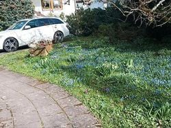 Weiß Gebraucht 2008 Mercedes C320 Kombi | 3.555 € (Superpreis)