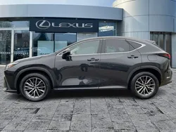Lexus NX450h+
