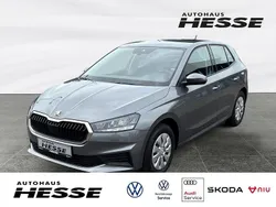 Grau Gebraucht 2022 Skoda Fabia Active Limousine | 13.430 € (Guter Preis)