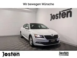 Weiß Gebraucht 2017 Skoda Superb Ambition Limousine | 16.880 € (Fairer Preis)