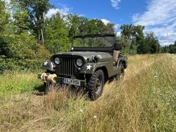 Grün Gebraucht 1960 Jeep Willys SUV | 16.800 €