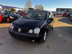 Schwarz Gebraucht 2003 VW Polo Basis Kleinwagen | 980 € (Guter Preis)