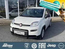 Weiss Gebraucht 2024 Fiat Panda Kleinwagen | 14.990 € (Etwas zu teuer)