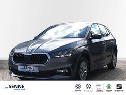 Graphitegrau Neu 2025 Skoda Fabia Selection Kleinwagen | 19.980 € (Fairer Preis)