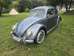 Blau Gebraucht 1954 VW Käfer Kleinwagen | 29.900 €