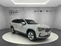 Grau Gebraucht 2024 Skoda Kodiaq Selection SUV | 44.890 € (Guter Preis)