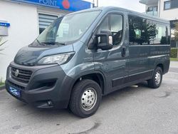 Grau Gebraucht 2020 Fiat Ducato Van | 25.950 €