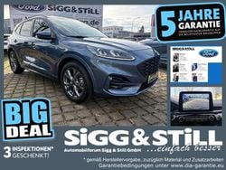 Chromablau Gebraucht 2023 Ford Kuga ST-Line X SUV | 22.450 € (Guter Preis)