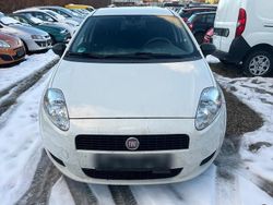 Weiß Gebraucht 2011 Fiat Punto Kleinwagen | 1.490 € (Etwas zu teuer)