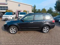 Grau Gebraucht 2012 Subaru Forester Active SUV | 2.900 € (Guter Preis)